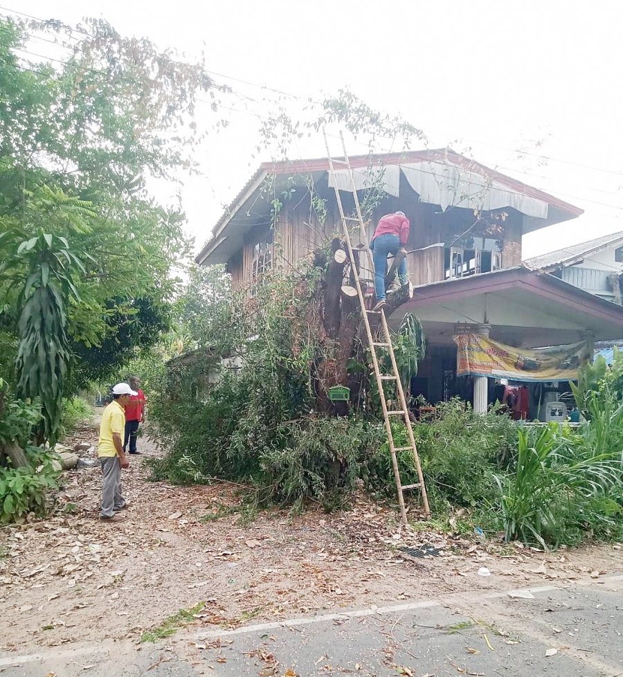 ตัดกิ่งไม้พาดสายไฟฟ้า บ้านห้วยขะยุงตก หมู่2 และบ้านสนามชัย หมู่10